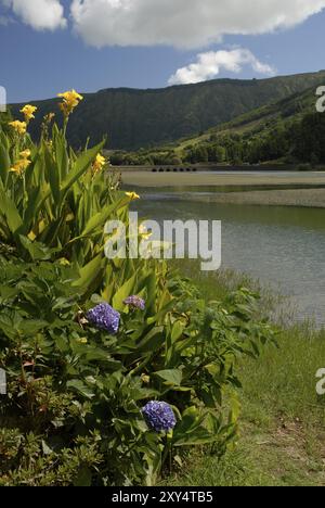 Westseite der Lagoa Verde, im Inneren der Caldera, Insel Sao Miguel, Azoren, Portugal, Europa Stockfoto