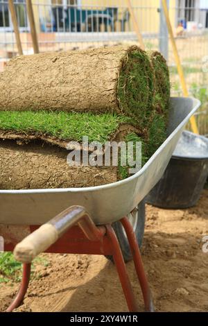 Stapel von gerollten Grassoden für Rasen und Gartenarbeiten Stockfoto