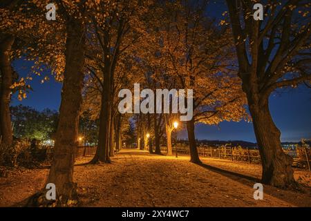 Berlin, 3. november 2018: Die beleuchtete Greenwich Promenade in Berlin Tegel, Europa Stockfoto