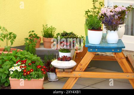 Kleinen Kräuter- und Blumengarten auf Terrasse oder Dach gebaut Stockfoto