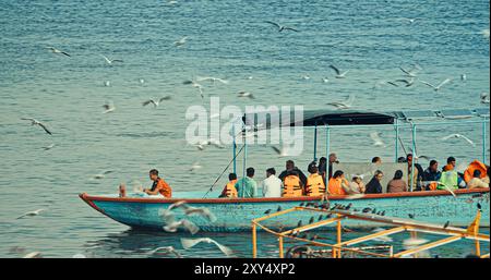 Varanasi, Indien. Touristen Und Indische Pilger, Die Auf Dem Ganga Riverbank Schwimmen. Touristen Boote Schwimmen Und Möwen Füttern Auf Dem Ganges River. Viele Möwen Stockfoto