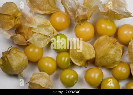 Frisch Gepflückte Gemahlene Kirschen Stockfoto