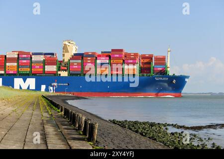 Das Containerschiff Copenhagen of HMM passiert die Zeeländische Hafenstadt Terneuzen über die Westschelde auf dem Weg nach Antwerpen. Foto ANP / Hollandse Hoogte / Stockfotos Zeeland niederlande Out - belgien Out Stockfoto