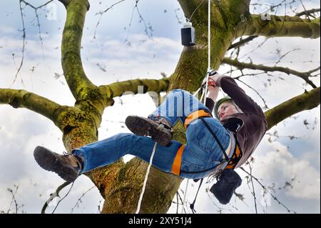 Eine junge Frau klettert beim Geocaching auf einen Baum Stockfoto