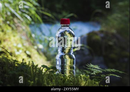 Transparenter Kunststoff Eine Flasche sauberes Wasser mit rotem Deckel steht im Gras und Moos auf dem Hintergrund eines schroffen Bergflusses. Das Konzept von p Stockfoto