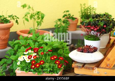 Kleinen Kräuter- und Blumengarten auf Terrasse oder Dach gebaut Stockfoto