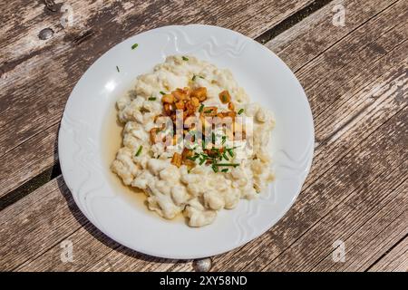 Nationalgericht der Slowakei - Bryndzove Halusky (Kartoffelteigklumpen mit Schafskäse und Speck) Stockfoto