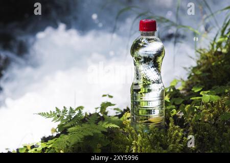 Transparenter Kunststoff Eine Flasche sauberes Wasser mit rotem Deckel steht im Gras und Moos auf dem Hintergrund eines schroffen Bergflusses. Das Konzept von p Stockfoto