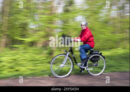 Senioren fahren schnell mit dem Fahrrad durch den Wald Stockfoto