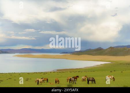 Zavchan, Mongolei. Juli 2024. Ulaagchiin Khar See. Quelle: L.Enkh-Orgil. Stockfoto