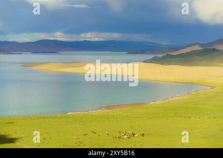 Zavchan, Mongolei. Juli 2024. Ulaagchiin Khar See. Quelle: L.Enkh-Orgil. Stockfoto