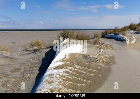 Schneeschwehungen in den Dünen auf Sylt, Schleswig-Holstein, Deutschland, Europa Stockfoto