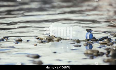 Plastikflasche liegt auf dem steinigen Strand, Umweltverschmutzung Stockfoto