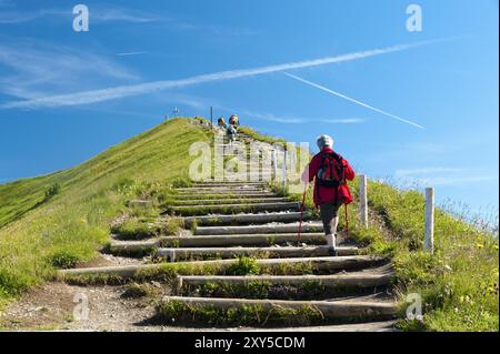 Wanderer klettert die Treppe zum Gipfel des Fellhorns Stockfoto