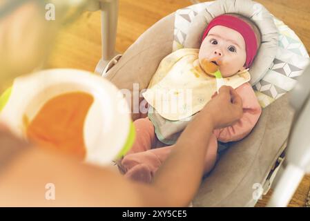 Mutter füttert ein hungriges, fünfmonatiges, lustiges Baby mit festem Essen. Beagle-Hund sieht neugierig zu Stockfoto