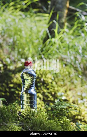 Transparenter Kunststoff Eine Flasche sauberes Wasser mit rotem Deckel steht im Gras und Moos auf dem Hintergrund eines schroffen Bergflusses. Das Konzept von p Stockfoto