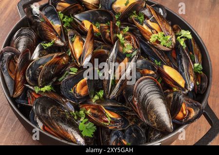 Ein vollständiger Schürzer Marinara-Muscheln auf einem dunklen rustikalen Hintergrund, Nahaufnahme Stockfoto