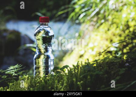 Transparenter Kunststoff Eine Flasche sauberes Wasser mit rotem Deckel steht im Gras und Moos auf dem Hintergrund eines schroffen Bergflusses. Das Konzept von p Stockfoto