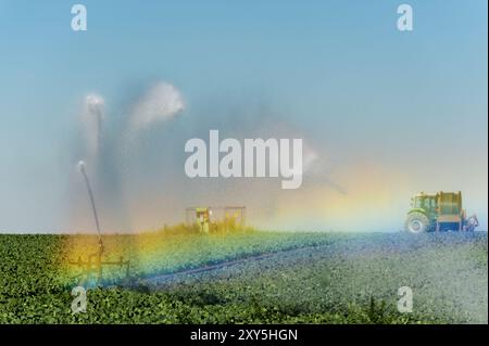 Funktionierendes Bewässerungssystem auf dem Feld Stockfoto