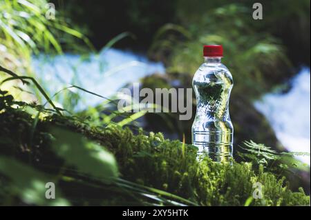 Transparenter Kunststoff Eine Flasche sauberes Wasser mit rotem Deckel steht im Gras und Moos auf dem Hintergrund eines schroffen Bergflusses. Das Konzept von p Stockfoto