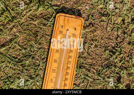 Thermometer zeigt 40 Grad celsius an Stockfoto