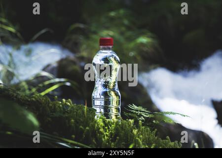 Transparenter Kunststoff Eine Flasche sauberes Wasser mit rotem Deckel steht im Gras und Moos auf dem Hintergrund eines schroffen Bergflusses. Das Konzept von p Stockfoto