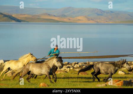 Zavchan, Mongolei. Juli 2024. Ulaagchiin Khar See. Quelle: L.Enkh-Orgil. Stockfoto