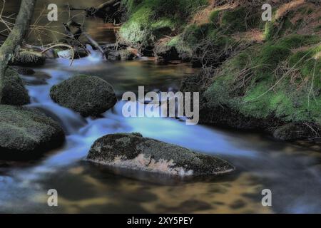 Bergbach im Nationalpark Harz Stockfoto