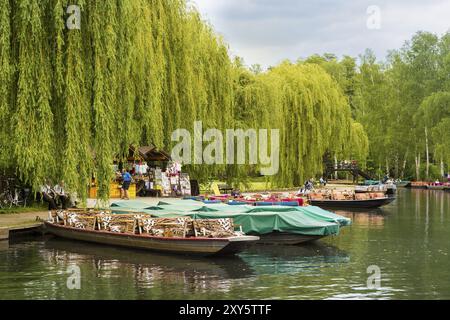 Spreewald käht auf dem Pier eines Flusses im Hafen Stockfoto