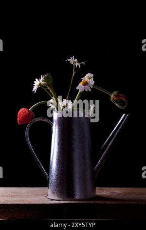 Stillleben mit Gänseblümchen und Mohnblumen in einem Krug Stockfoto