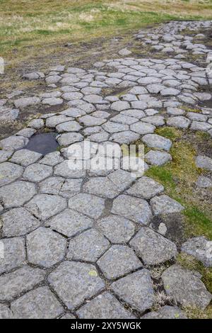 Kirkjugolf Natural Monument (der Kirchenboden), Basaltsäulen Felsformation in Kirkjubaejarklaustur in Südisland. Stockfoto