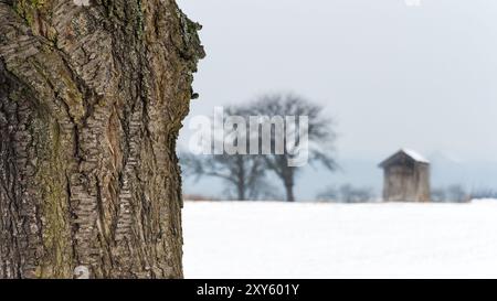 Winterlandschaft mit kleine Scheune Stockfoto