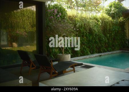 Liegepool, vertikaler Garten und Swimmingpool in einer modernen tropischen Villa Stockfoto