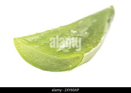 Cut Aloe Blätter auf weißem Hintergrund Stockfoto