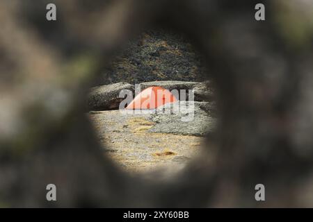 Trekking oranges Zelt durch ein rundes Loch im Stein auf dem Mount Elbrus Stockfoto