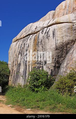 Am Denkmal für Hilda und James Stevenson-Hamilton, Kruger-Nationalpark, Südafrika, Memorial for Hilda und James Stevenson-Hamilton, Süd-afr Stockfoto