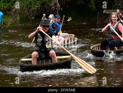Ironbridge Coracle Regatta auf dem Fluss Severn 26. August 2024. BILD VON DAVID BAGNALL Stockfoto