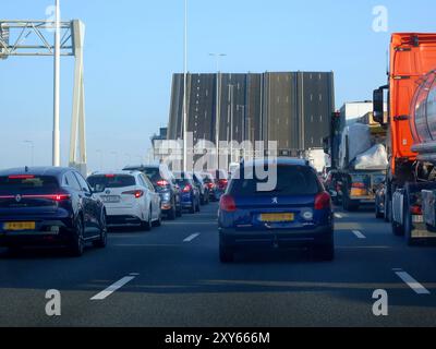 28.08.2024 NL, aufgeklappte Van Brienenoordbrücke über die neue Maas in Rotterdamm. *** 28 08 2024 NL, die Van-Brienenoord-Brücke über die neue Maas in Rotterdam Stockfoto