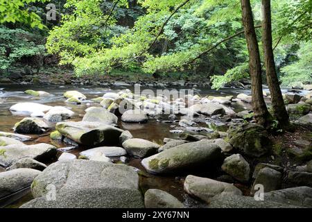 Der romantische Bergbach Bode im Nationalpark Harz Stockfoto