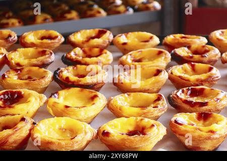 Reihen von Ei tart, traditionelle portugiesische Dessert, Pastel de Nata, Pudding Stockfoto