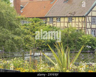 Idyllischer Garten mit bunten Blumen, Teich im Vordergrund und Fachwerkhäuser im Hintergrund, ystad, schweden, ostsee, skandinavien Stockfoto