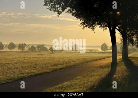 Feldweg im Morgennebel, Morgennebel in einem kreisrunden Gebiet, kleine Straße Stockfoto