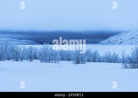 Schlechtes Wetter über dem gefrorenen See Tornetraesk, Norrbotten, Lappland, Schweden, Januar 2014, Europa Stockfoto