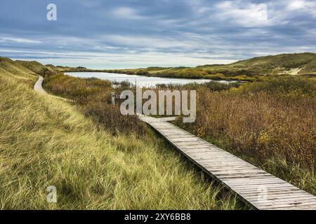 Landschaft mit See auf der Insel Amrum Stockfoto