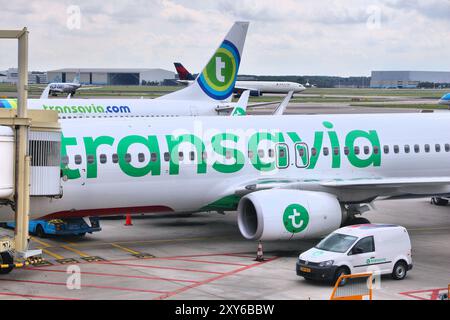 AMSTERDAM, NIEDERLANDE - 11. JULI 2017: Transavia Billigfluggesellschaft Boeing 737 am Schiphol Airport in Amsterdam. Schiphol ist der zwölftgrößte Flughafen i Stockfoto