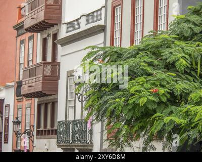 Städtische Straße mit klassischen Gebäuden und grünen Bäumen entlang der Fassaden, La palma, kanarische Inseln, spanien Stockfoto