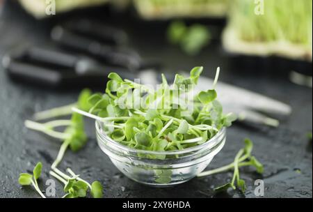 Teil der Fresh Cutted Cress (Nahaufnahme, selektiver Fokus) Stockfoto