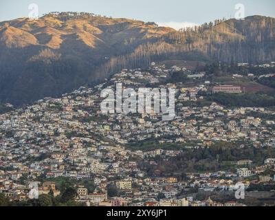 Blick auf eine hügelige Stadt mit vielen Häusern und Bergen im Hintergrund in der Abenddämmerung, madeira, portugal Stockfoto