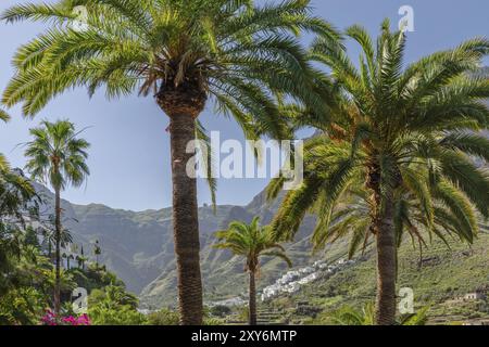 Tal von Agaete, Barranco de Agaete, Agaete, Gran Canaria, Kanarische Inseln, Spanien, Agaete, Gran Canaria, Kanarische Inseln, Spanien, Europa Stockfoto