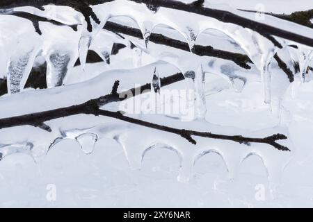 Eisbedeckte Zweige, Norrbotten, Lappland, Schweden, Januar 2016, Europa Stockfoto